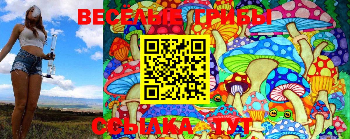 Псилоцибиновые грибы Psilocybine cubensis  Галлюциногенные грибы Cubensis  Вход с VPN  Рославль 